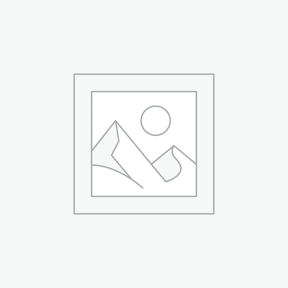 WordPress Themes